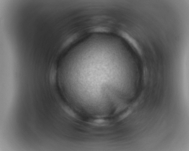 X0000113540153200910021356