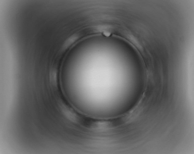 X0000113540154200910021356