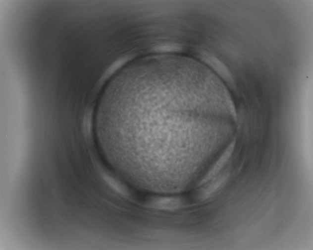 X0000113540155200910021356