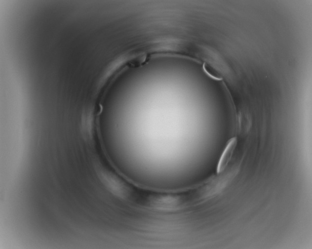 X0000113540156200910021356