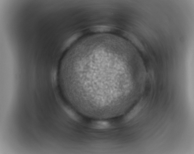 X0000113540159200910021356