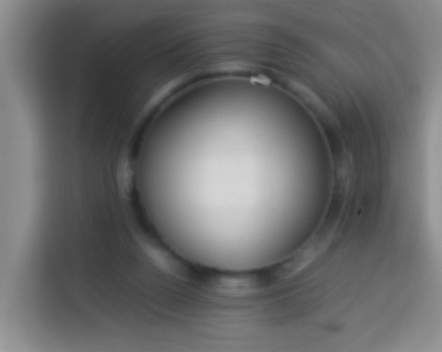 X0000113540160200910021356