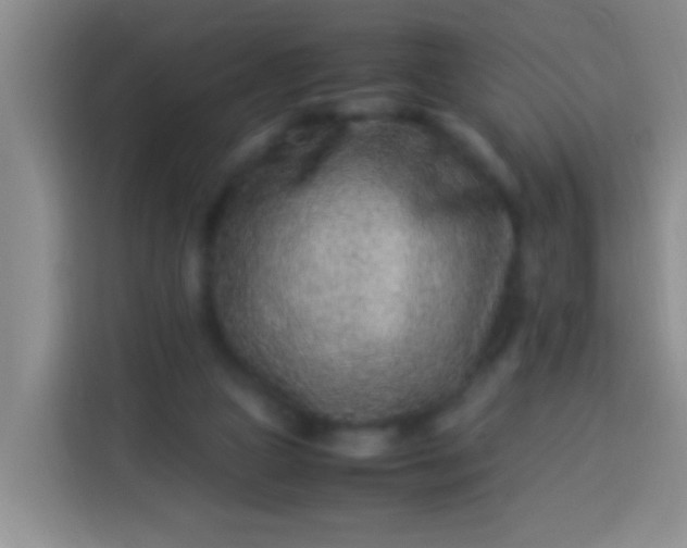 X0000113540161200910021356