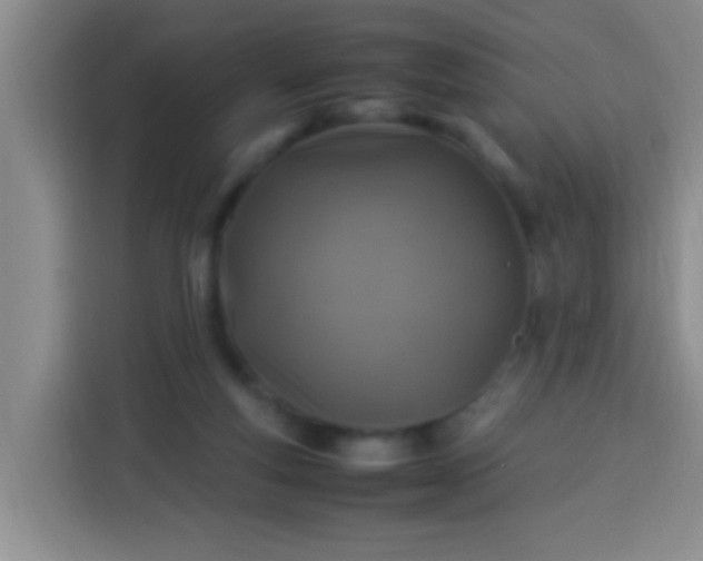 X0000113540163200910021356