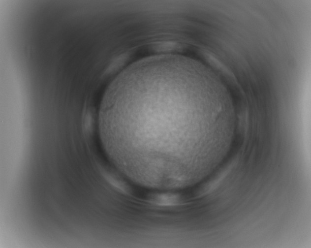 X0000113540165200910021356