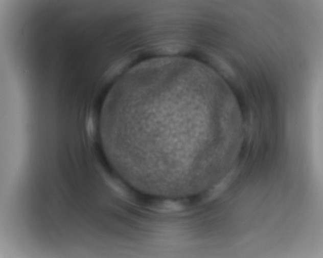 X0000113540166200910021356