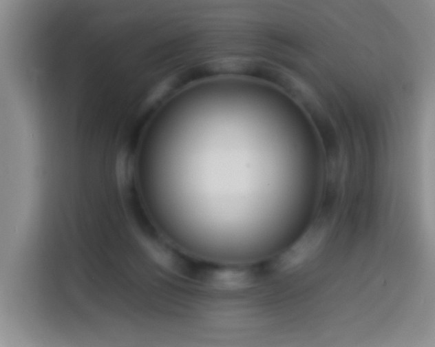 X0000113540168200910021356