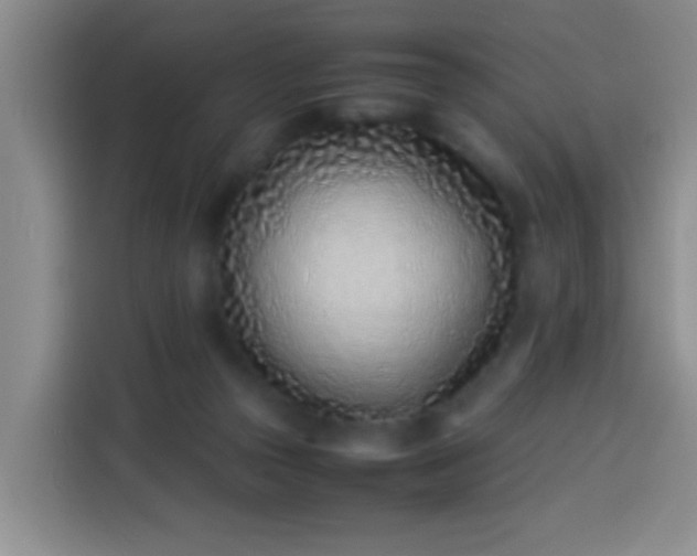 X0000113540169200910021356