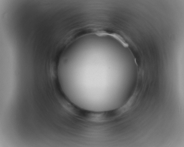 X0000113540170200910021356