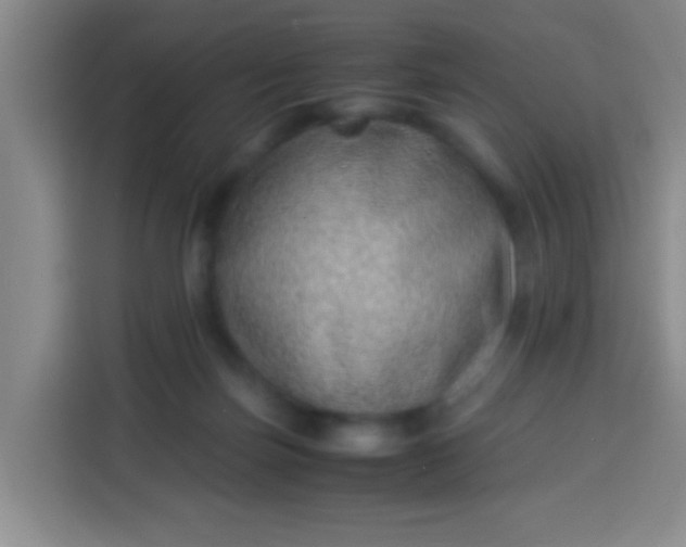 X0000113540171200910021356