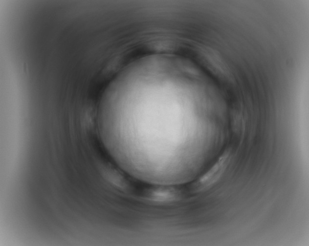 X0000113540175200910021357