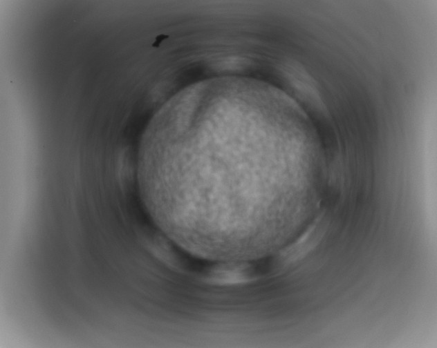 X0000113540179200910021357