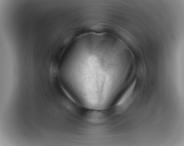 X0000113540180200910021357