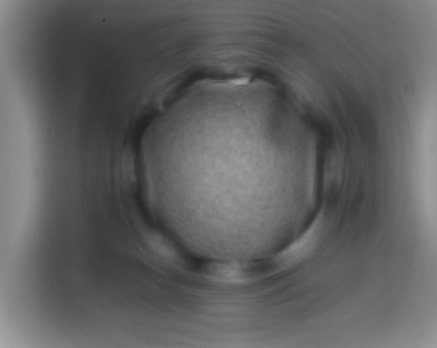 X0000113540182200910021357