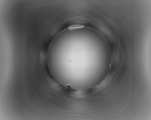 X0000113540184200910021357