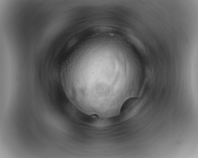 X0000113540189200910021357