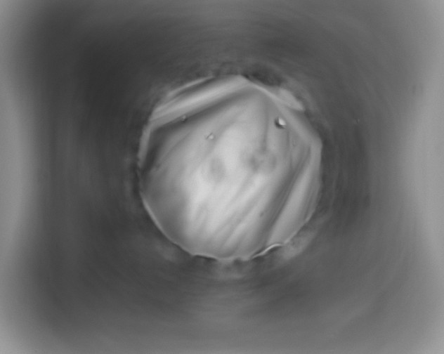 X0000113540192200910021357