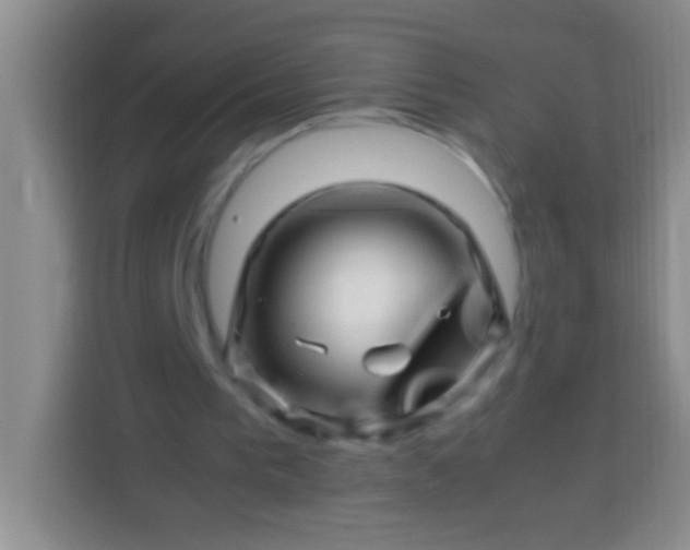 X0000113540193200910021356