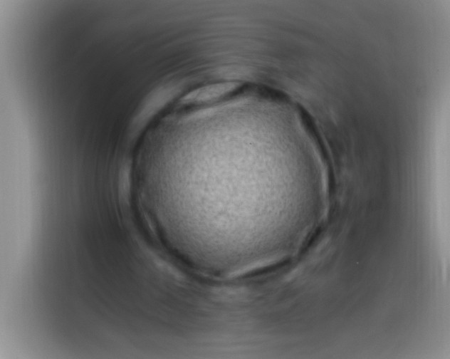 X0000113540194200910021356