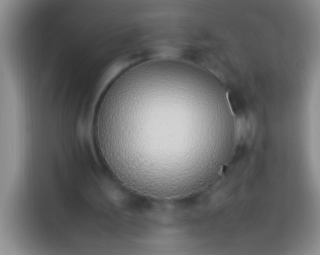 X0000113540195200910021356