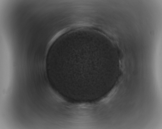 X0000113540196200910021356