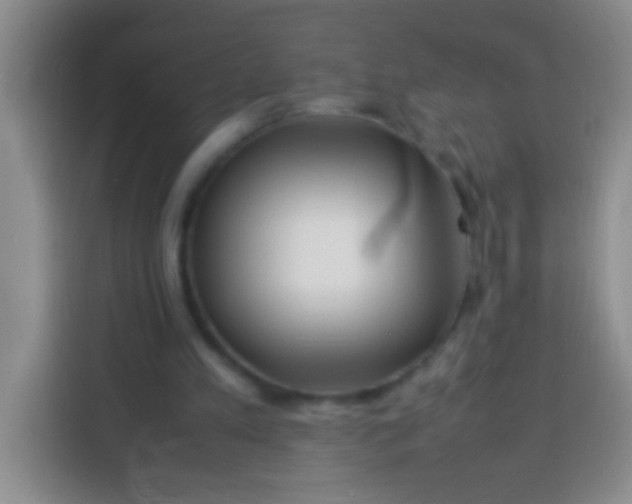 X0000113540197200910021356