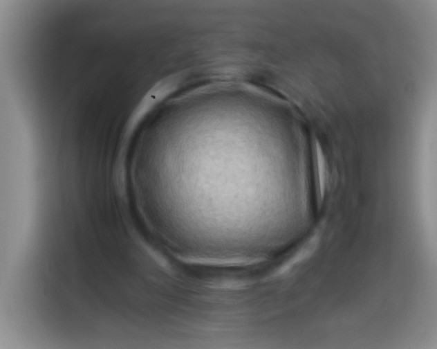 X0000113540198200910021356