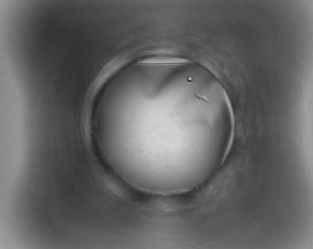 X0000113540199200910021356