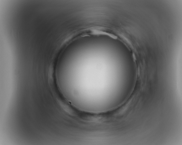 X0000113540201200910021356