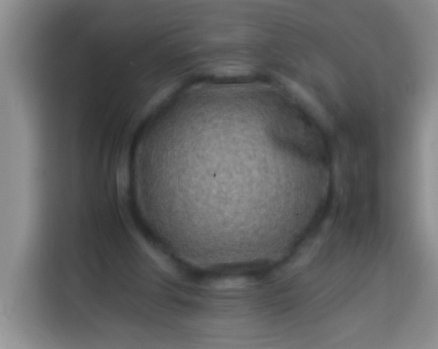 X0000113540202200910021356