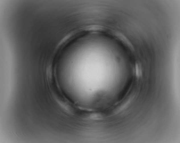 X0000113540204200910021356