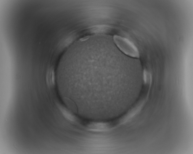 X0000113540205200910021356