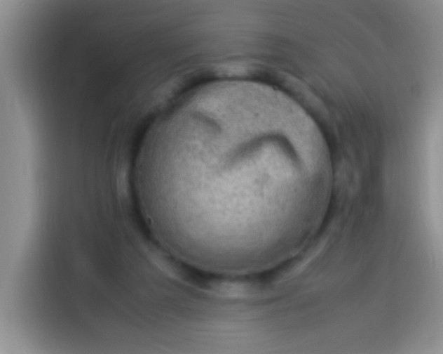 X0000113540209200910021356