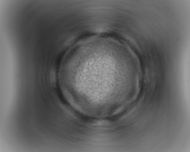 X0000113540210200910021356