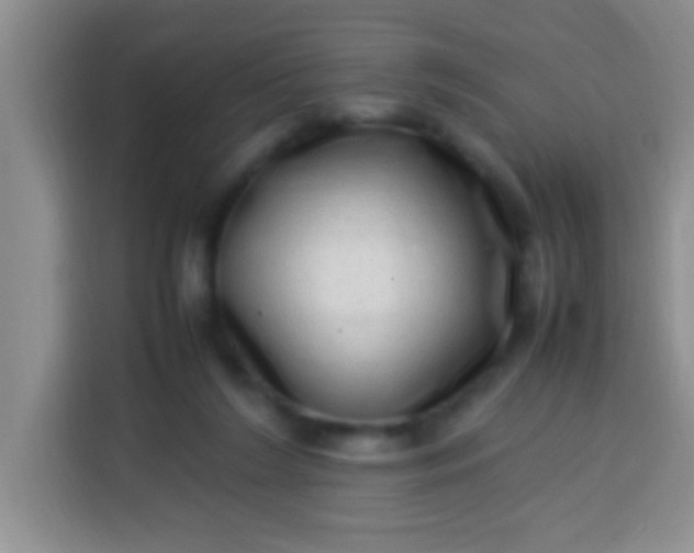 X0000113540212200910021356