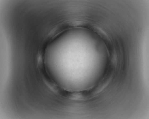 X0000113540214200910021356