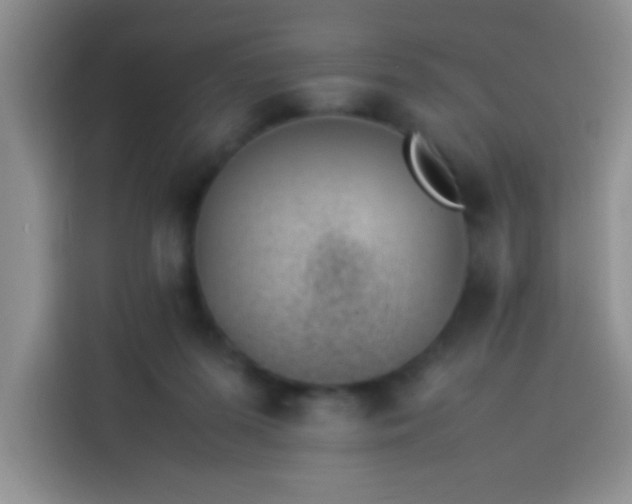 X0000113540215200910021356