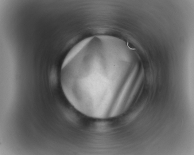 X0000113540216200910021356