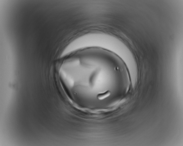 X0000113540217200910021356