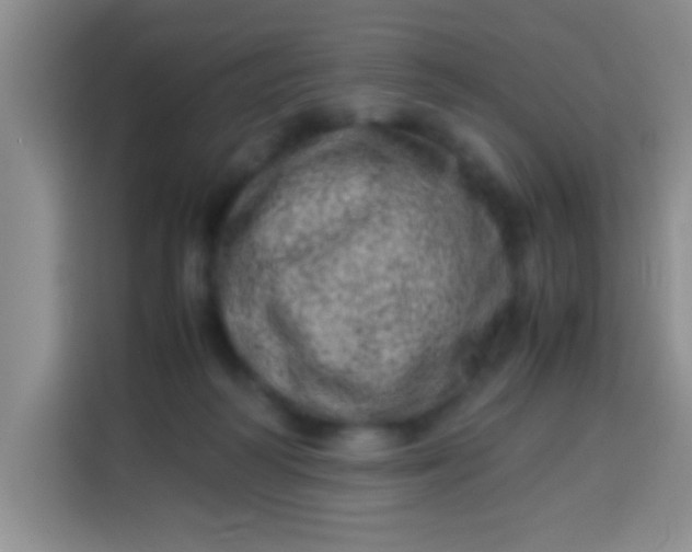 X0000113540218200910021356