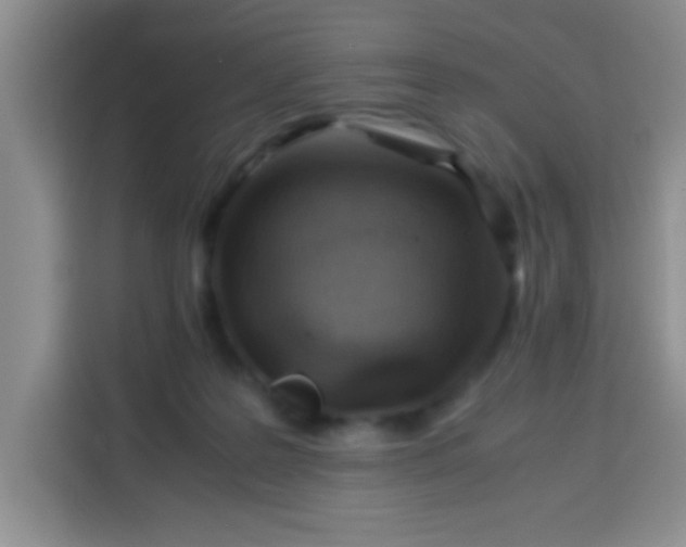 X0000113540219200910021356