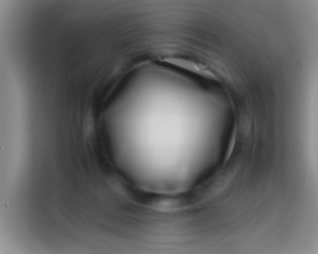 X0000113540220200910021356