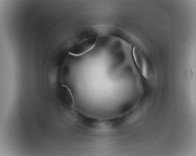 X0000113540221200910021356