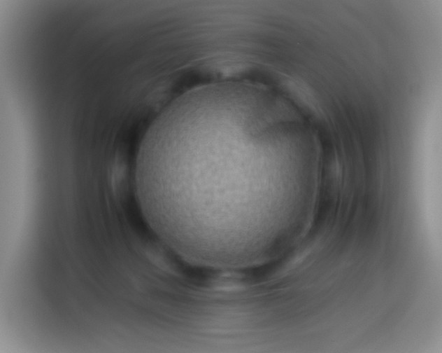 X0000113540222200910021356