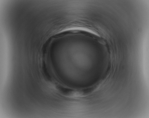 X0000113540223200910021356