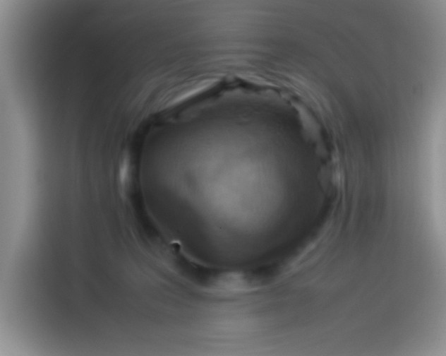 X0000113540227200910021356