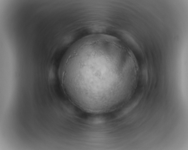 X0000113540228200910021356