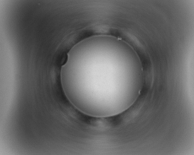 X0000113540229200910021356