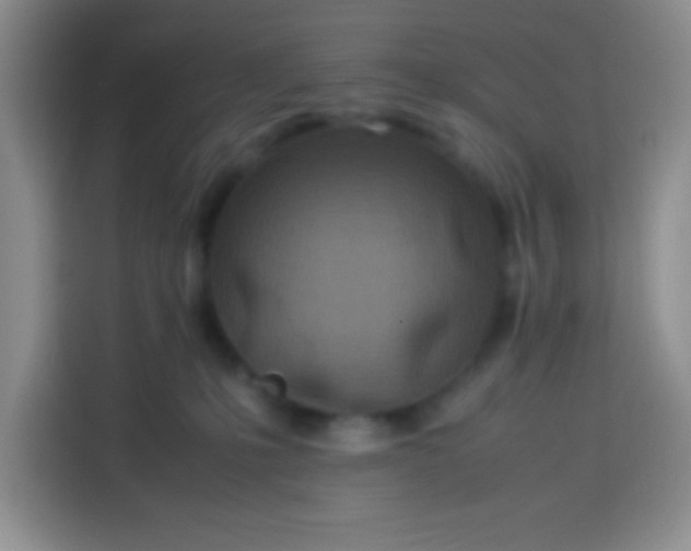 X0000113540231200910021356