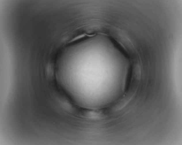 X0000113540232200910021356